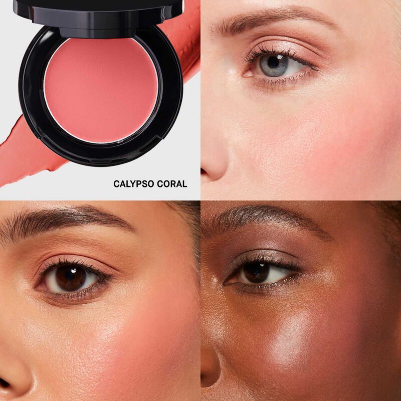 Bobbi Brown Pot Rouge for Lips & Cheeks image number 11